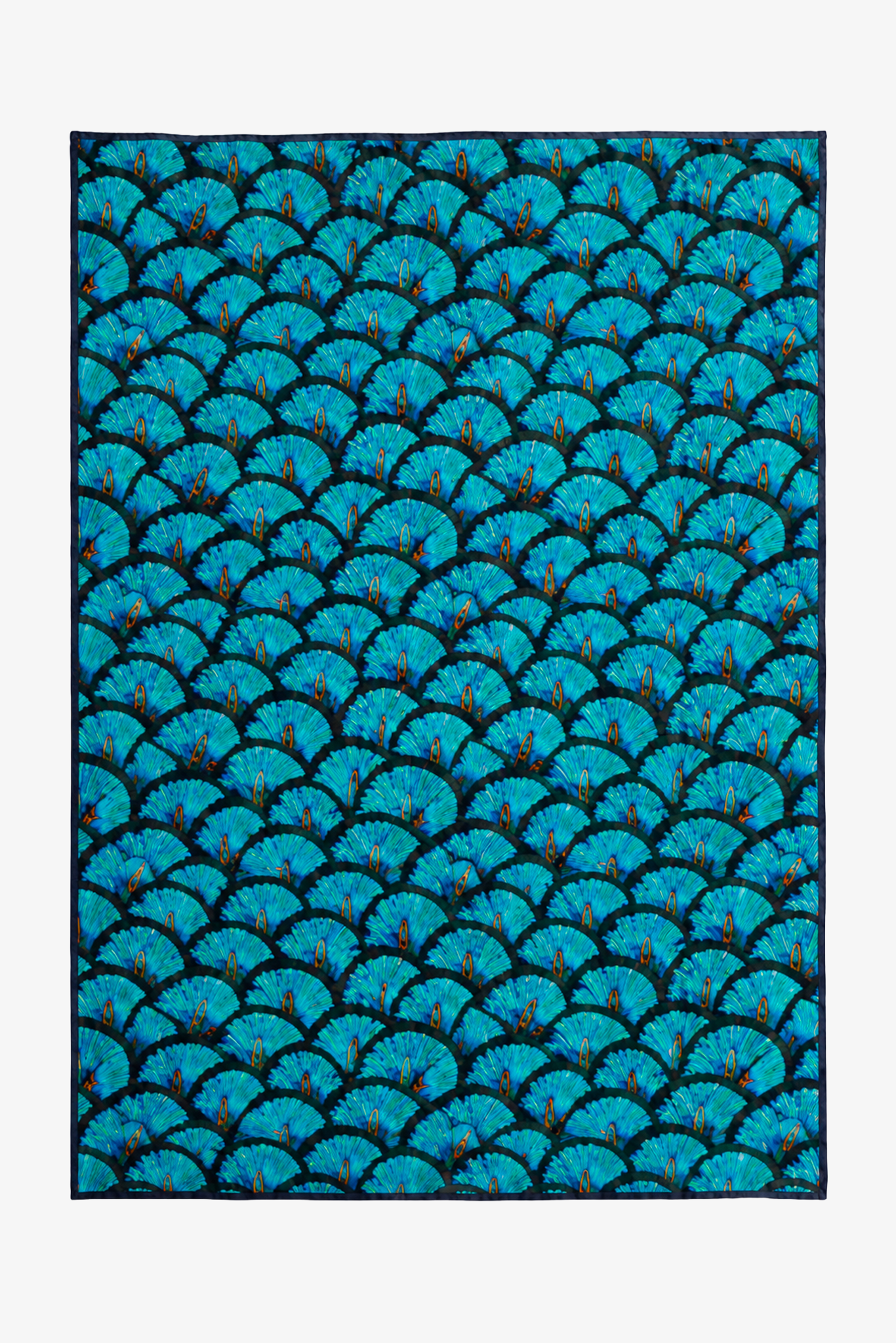 PAREO PLUMA