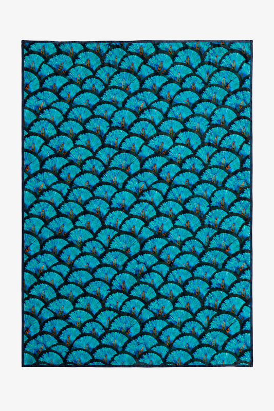 PAREO PLUMA