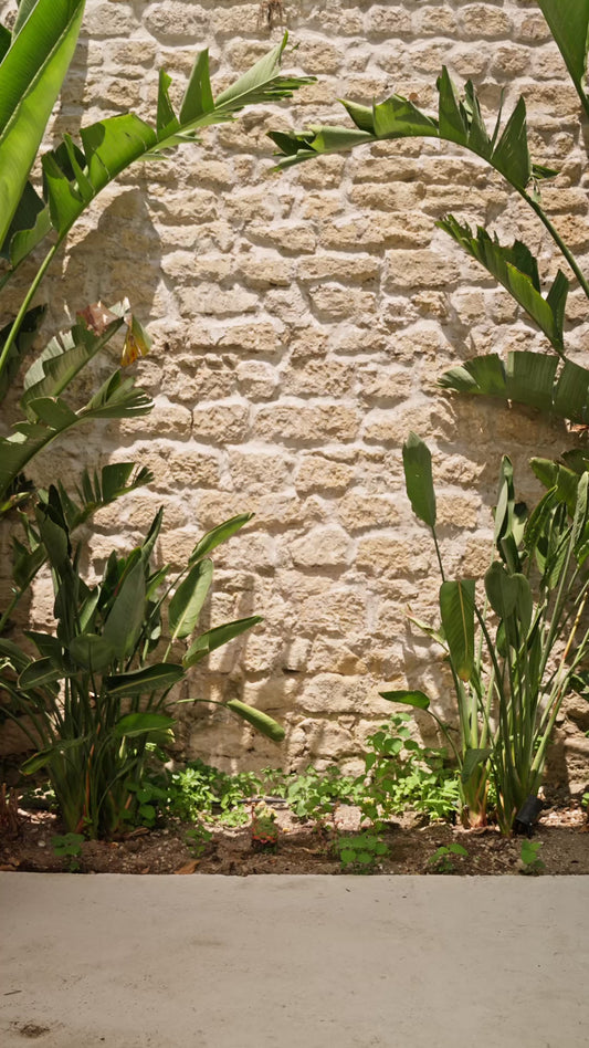 ABITO AVENTURA COBRA