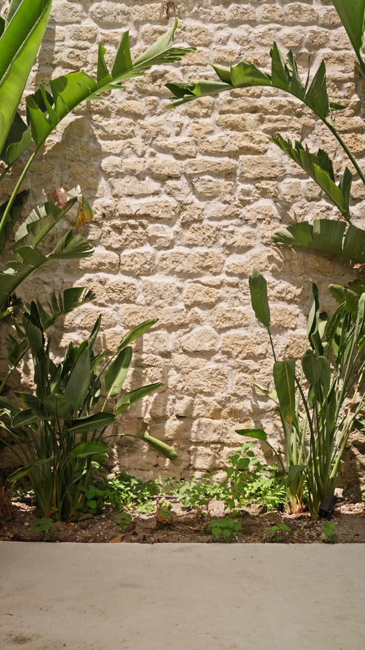MAXY FIORE AVENTURA GIRASOL MARRONE